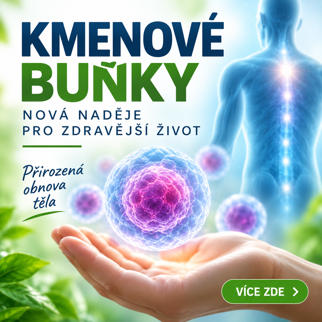 Kmenové buňky – velká naděje současné medicíny