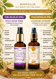 Activstar - BOSWELLIE 2 produkty -podpora při zánětu a bolesti kloubů, žaludku, plic