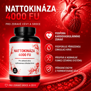 NATTOKINASE 4000 FU v 1 kapsli, obsah 90 kapslí, podpora kardiovaskulárního zdraví